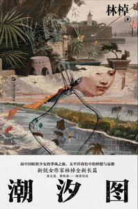 潮汐图(出版书)